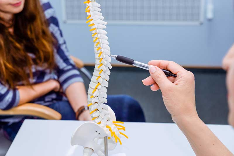 Patient consultation at Hogan Chiropractic — reviewing a spine model before treatment